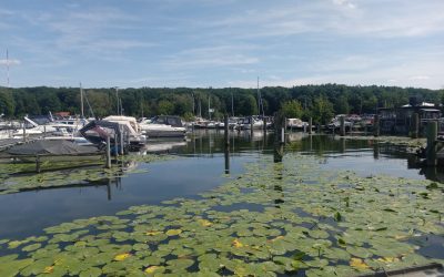 Tagungshaus mit Seeblick in Berlin: So wird dein Workshop am Pichelssee zum Erlebnis